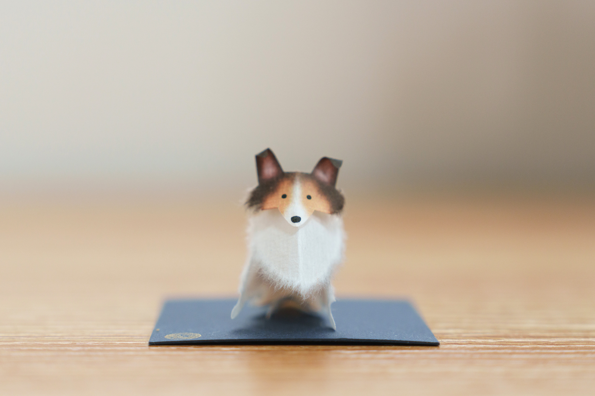 やさしい顔の犬をつくる人